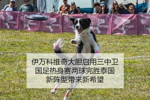 伊万科维奇大胆启用三中卫 国足热身赛两球完胜泰国 新阵型带来新希望